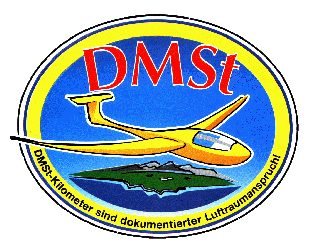 DMSt Logo