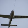 IMG_1518