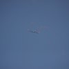 IMG_1598